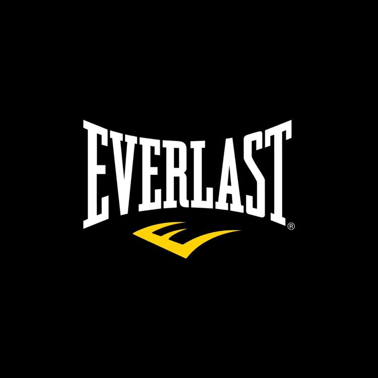 EVERLAST/艾华朗品牌Logo