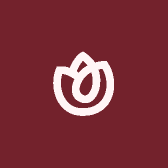BVLLHGA VHTHCE品牌Logo