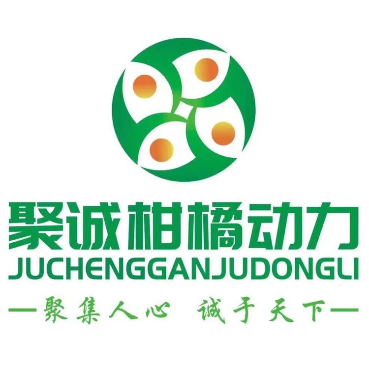 SPAINTYPROBELT/柑橘动力品牌Logo