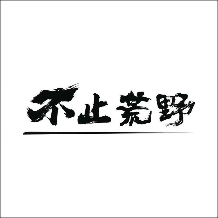 不止荒野品牌Logo