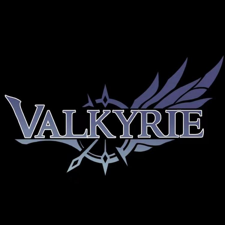 VALKYRIE/瓦尔基里品牌Logo
