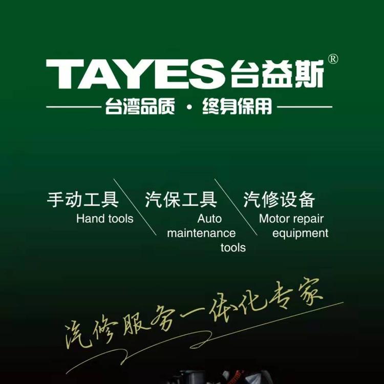 TAYES/台益斯品牌Logo