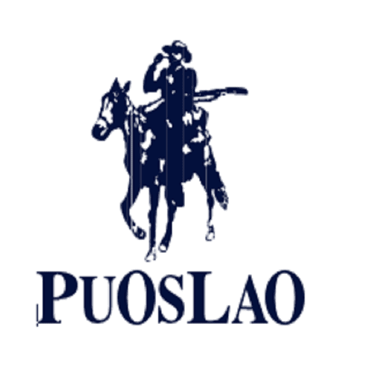 POLOGWON/保罗品牌Logo