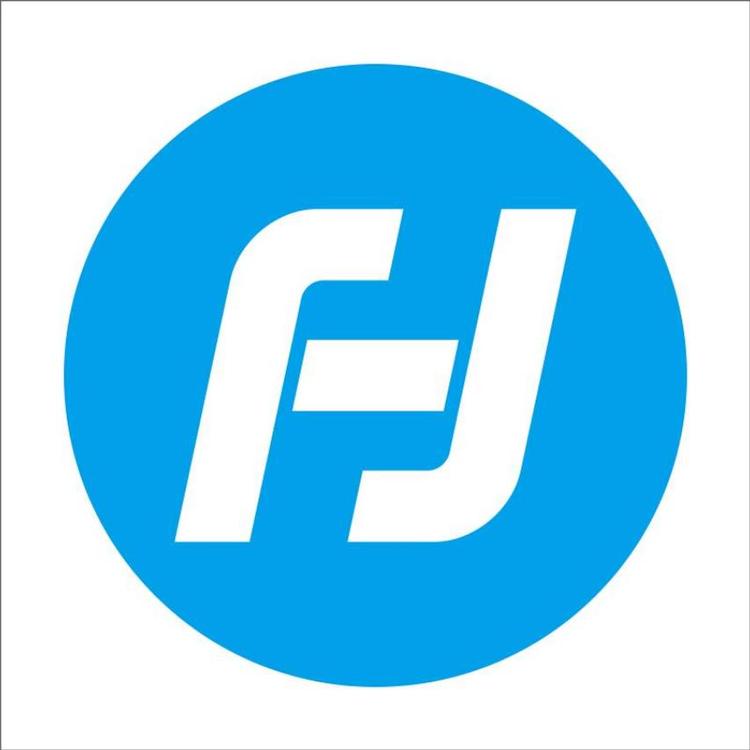 飞宇品牌Logo
