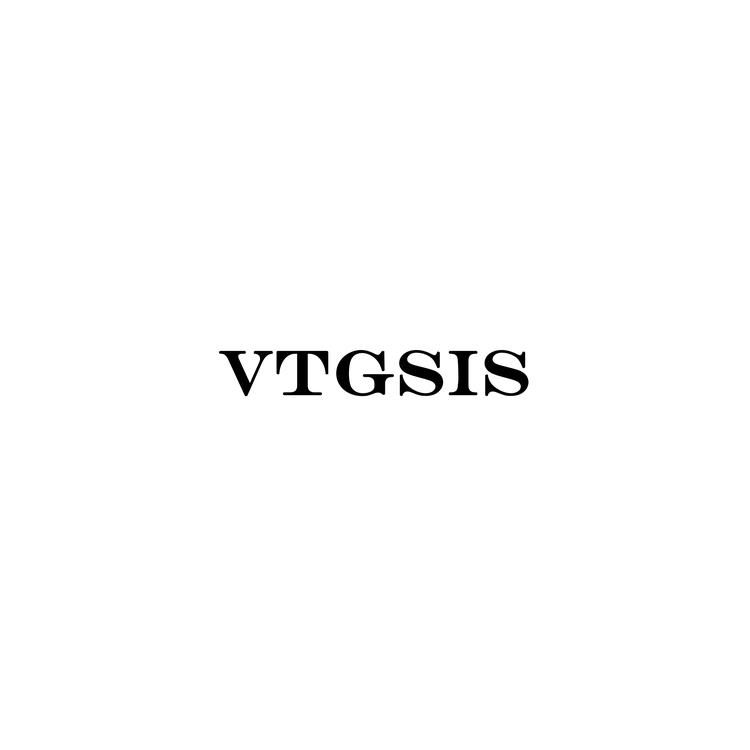 VTGSIS品牌Logo