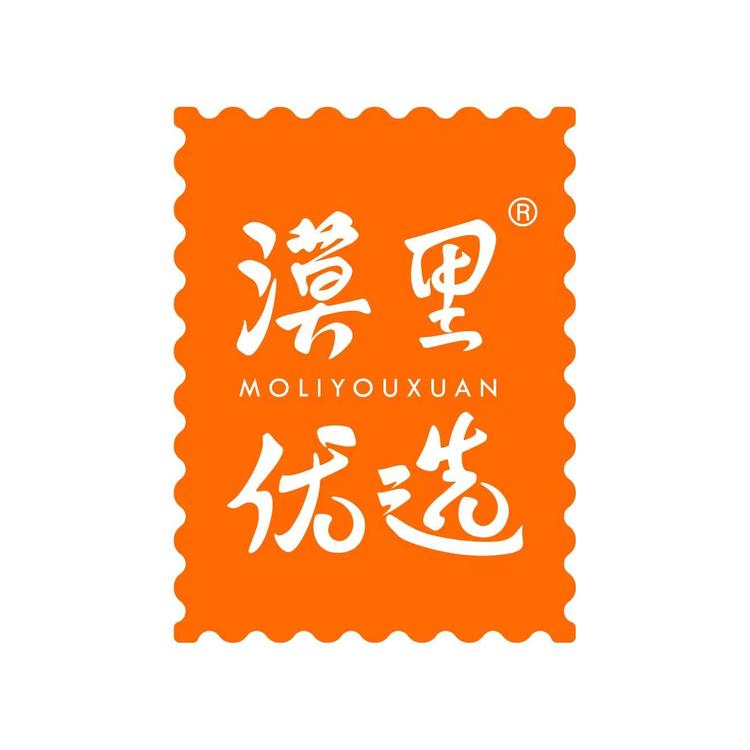 漠里优选品牌Logo