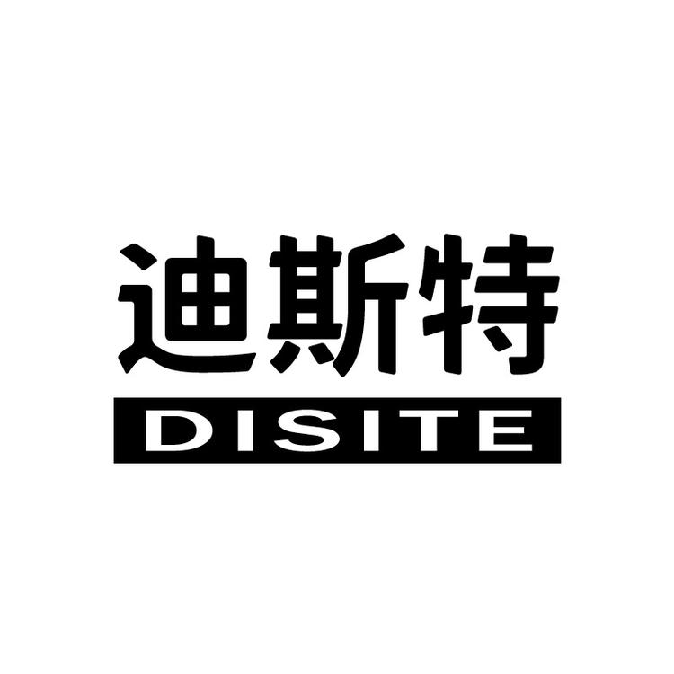 DISITE/迪斯特品牌Logo
