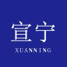 宣宁品牌Logo