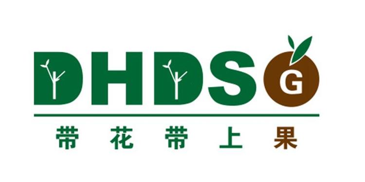 DHDSG/带花带上果品牌Logo
