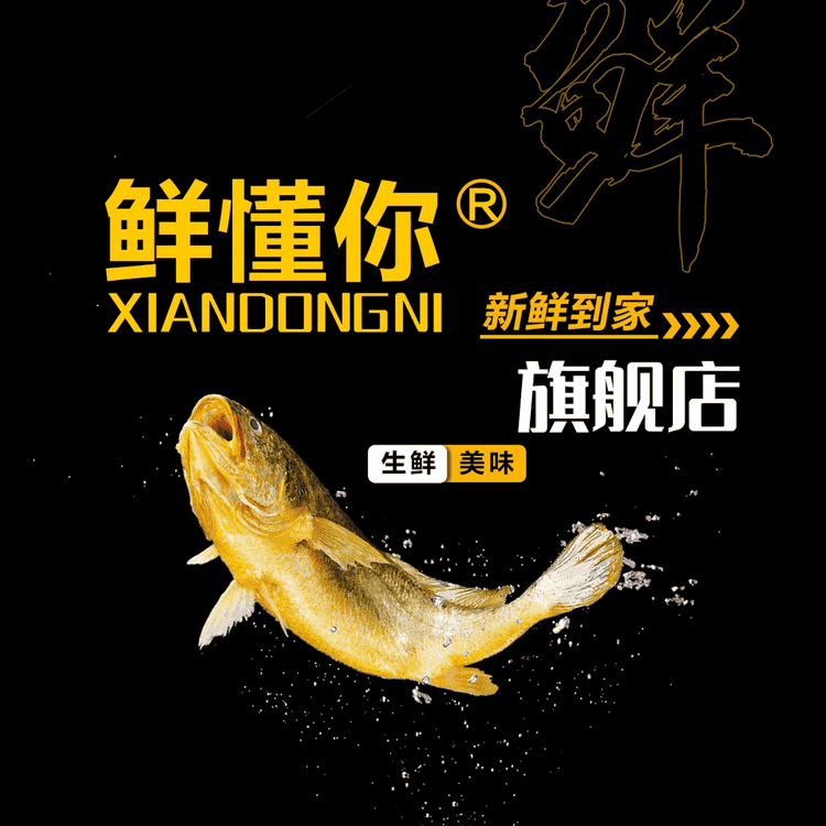 XIANDONGNI/鲜懂你品牌Logo