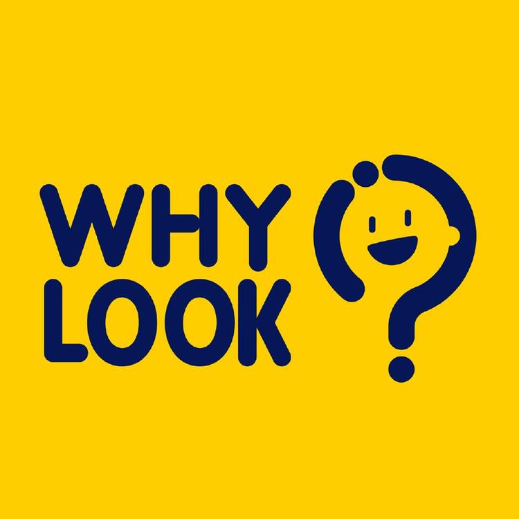 WHYLOOK品牌Logo