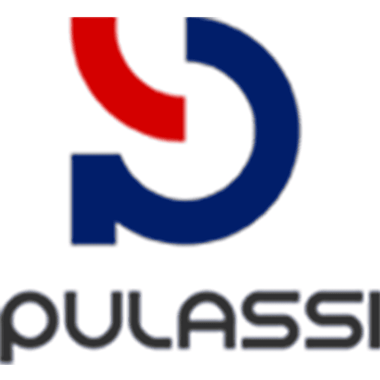 PULASSI/普拉施品牌Logo