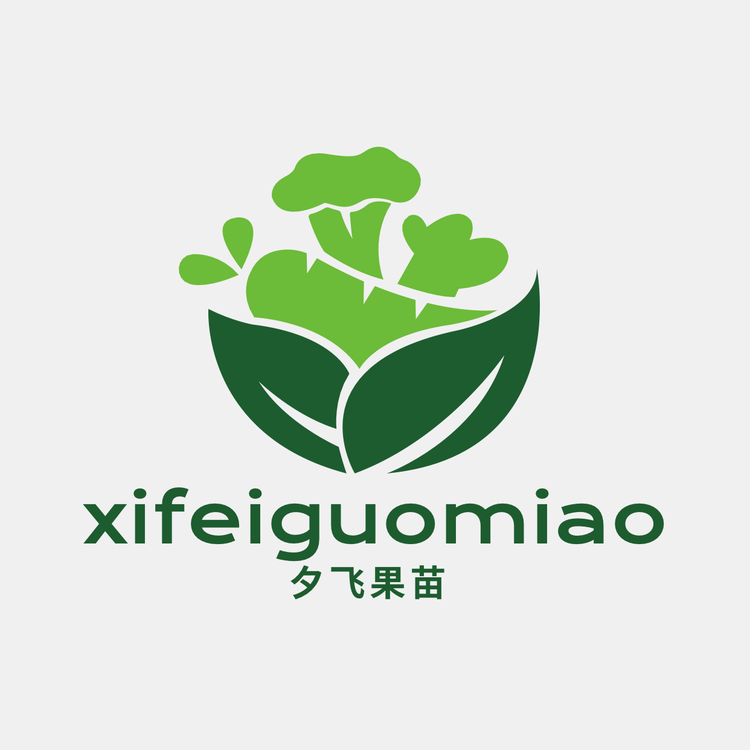 夕飞品牌Logo