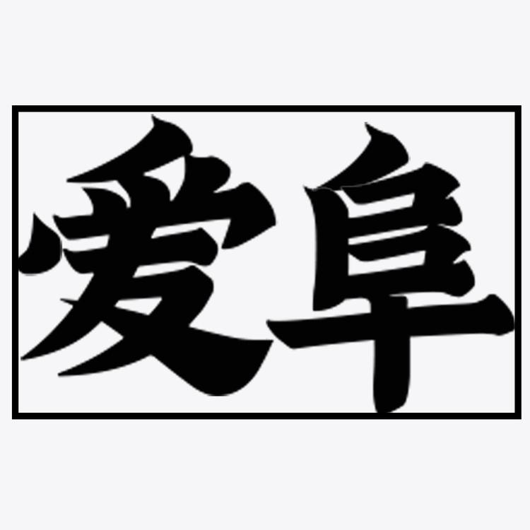 爱阜品牌Logo