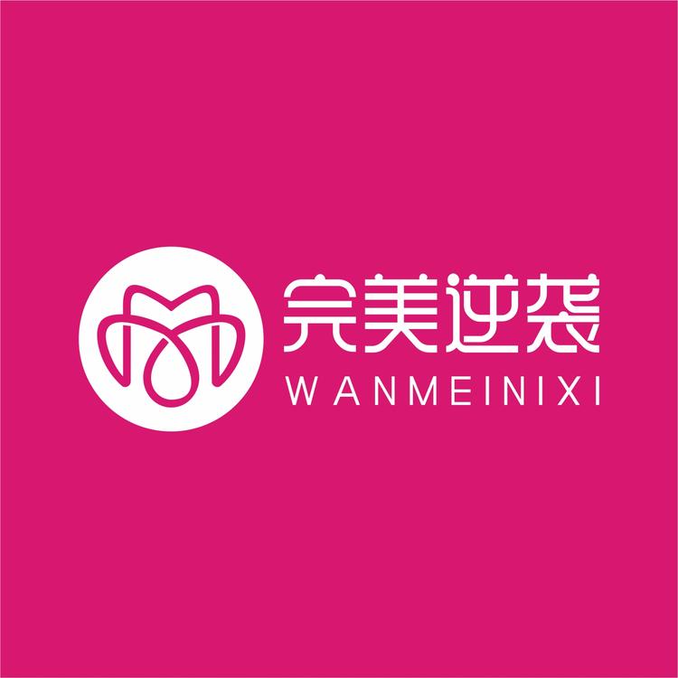 WANMEINIXI/完美逆袭品牌Logo