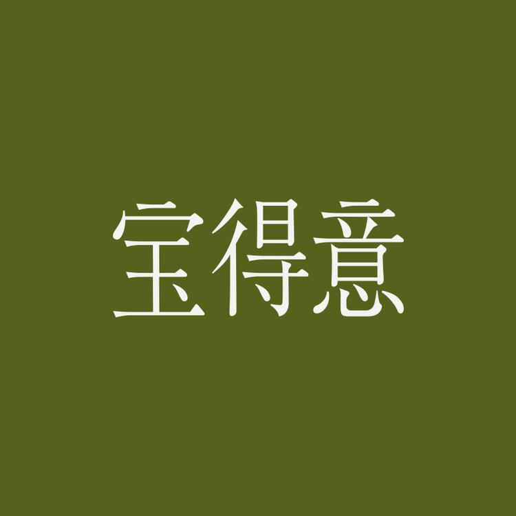 宝得意品牌Logo