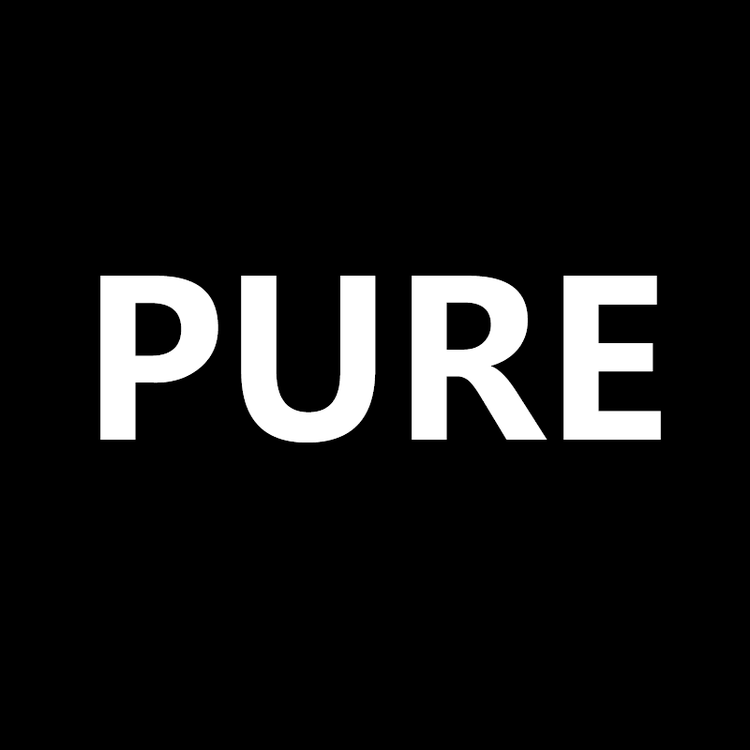 PURESTYLE/纯之色品牌Logo