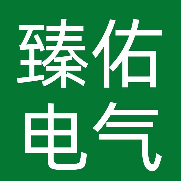 臻佑电气品牌Logo