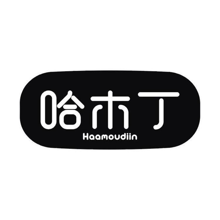 Haamoudiin/哈木丁品牌Logo