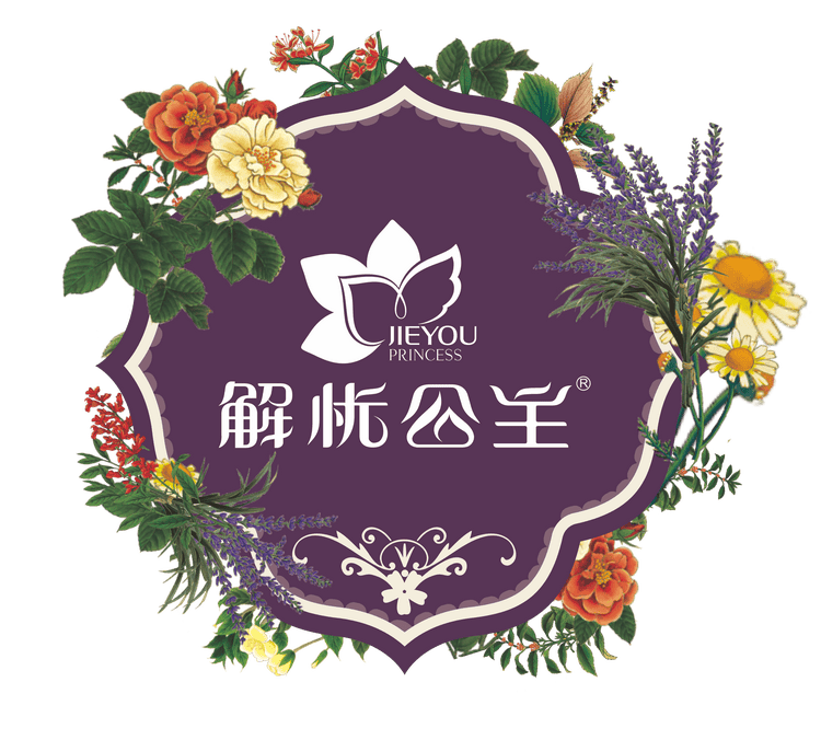 JIEYOU PRINCESS/解忧公主品牌Logo