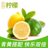 果木岛品牌logo