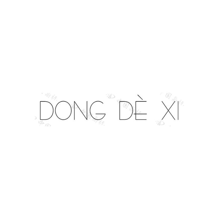 DONG DE XI/东的西品牌Logo