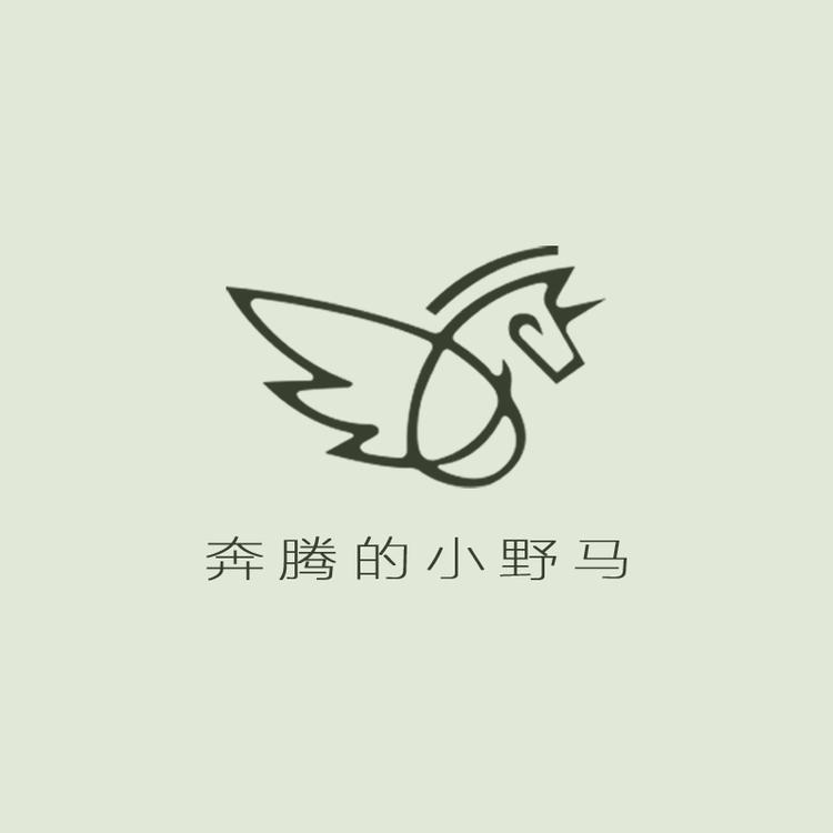 奔腾的小野马品牌Logo