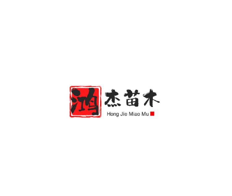 果泳湾品牌Logo