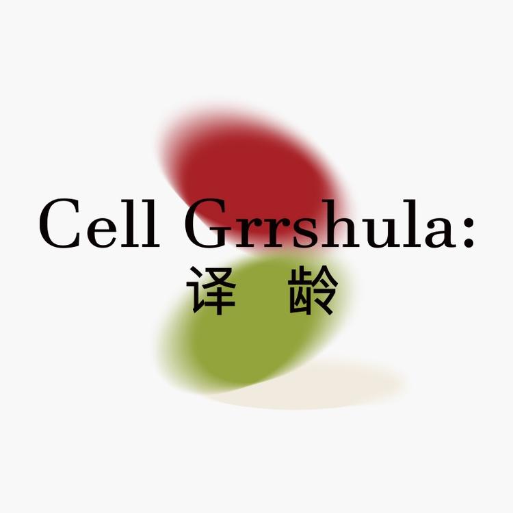 译龄品牌Logo