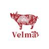 Velma品牌Logo