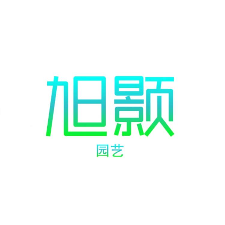 旭颢品牌Logo
