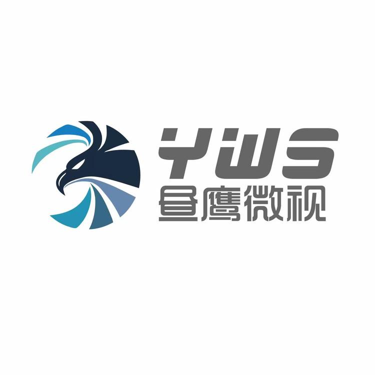 YWS/昼鹰微视品牌Logo