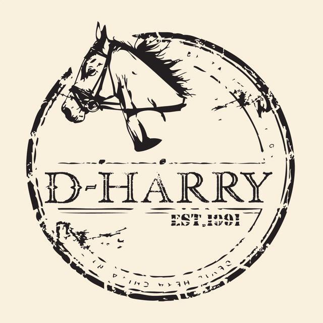 D-HARRY/迪哈利品牌Logo