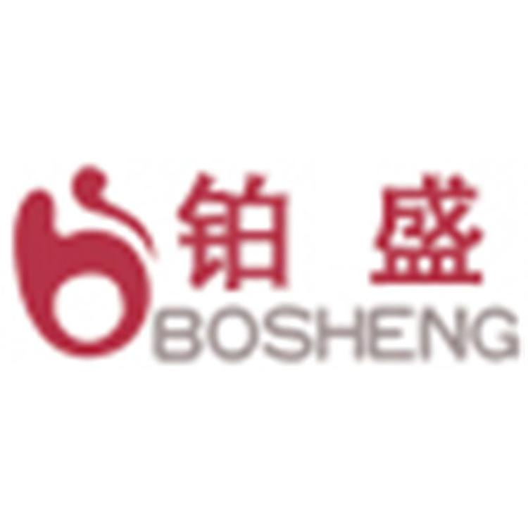 BOSHENG/铂盛品牌Logo