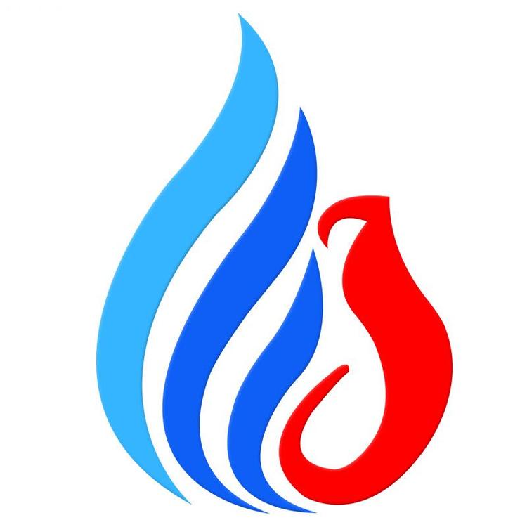 RAN DIAN CHE PIN/燃点车品品牌Logo
