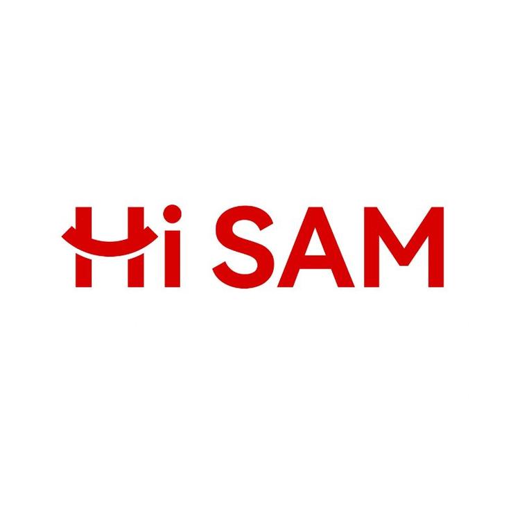 嗨山姆先森品牌Logo