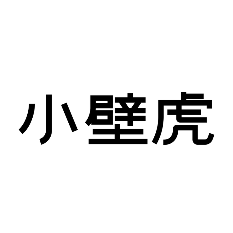 “小壁虎”品牌Logo