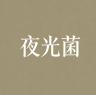 夜光茵品牌Logo