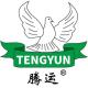 tengyun/腾运品牌logo