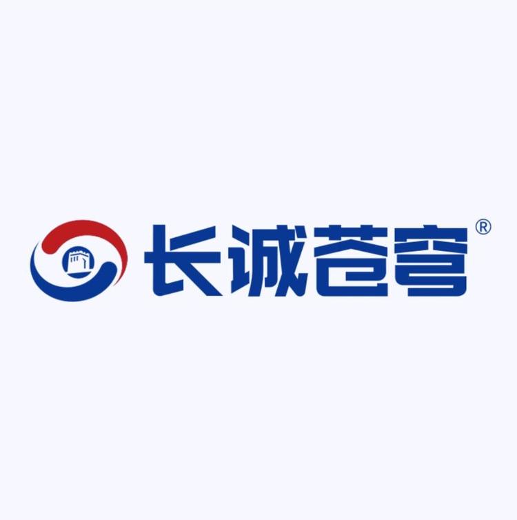 长诚苍穹品牌Logo