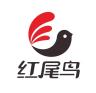 红尾鸟品牌Logo