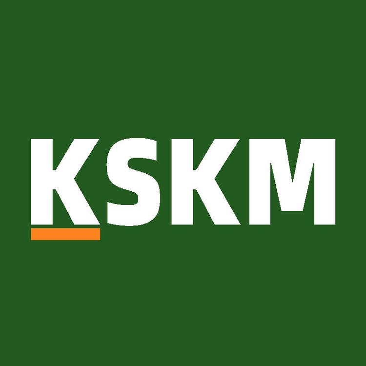 KSKM品牌Logo