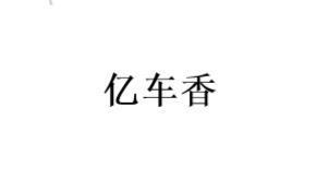 亿车香品牌Logo
