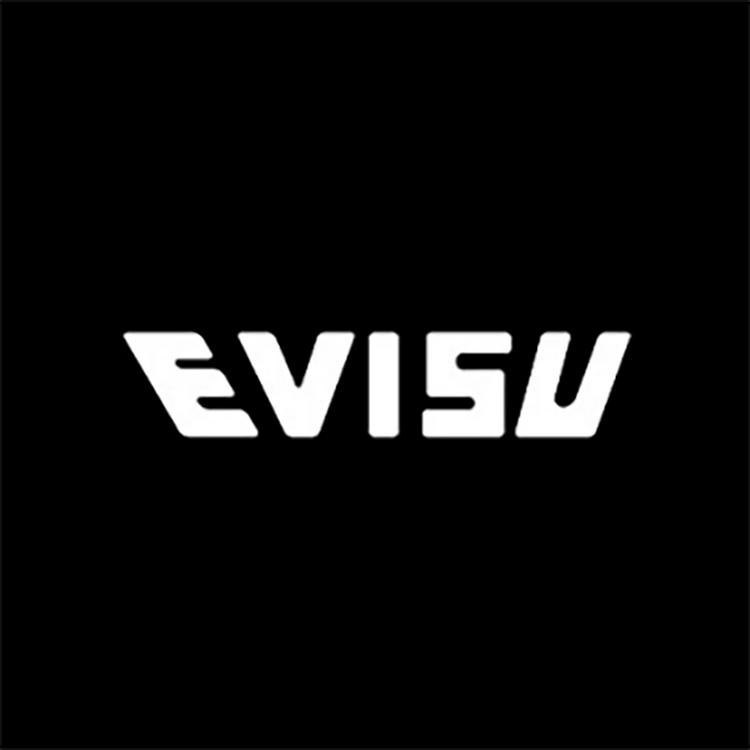 Evisu品牌Logo