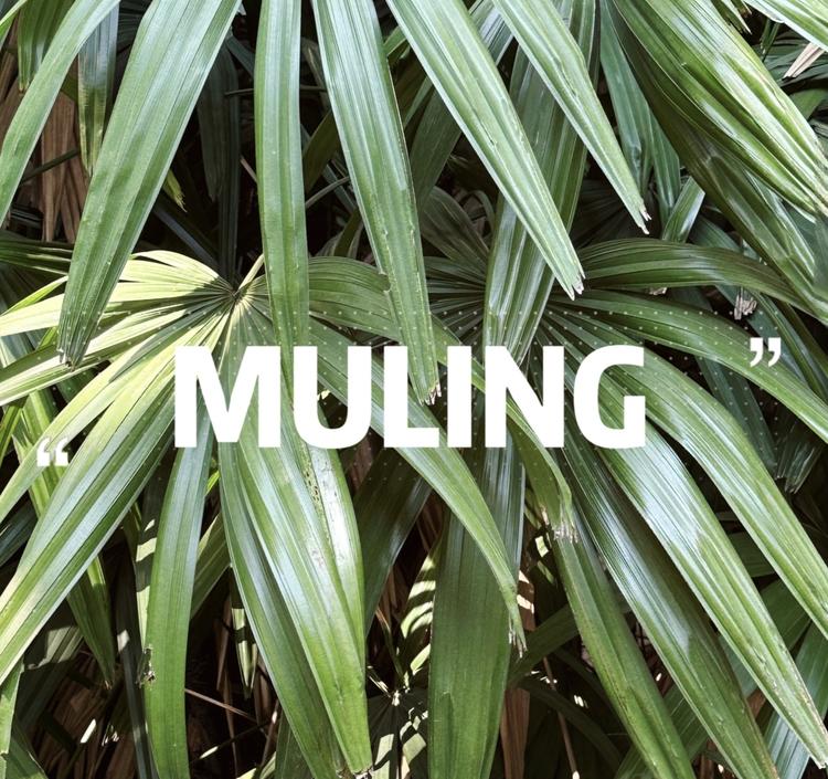 MULING/幕玲品牌Logo