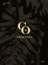 color point品牌Logo