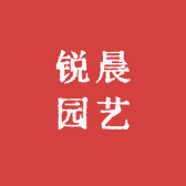 RUI CHEN/锐晨品牌Logo