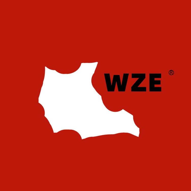 WZE品牌Logo