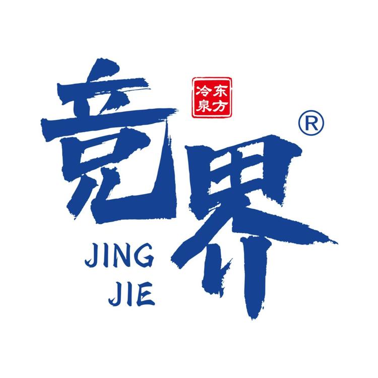 IDEADISPLAY/竞界品牌Logo