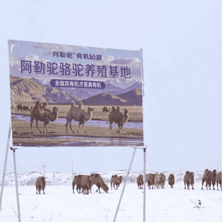 阿勒驼福利大卖专场！新疆优质奶源！高钙高蛋白，新疆直发~直播封面